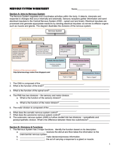 Nervous System Worksheet - Jackson County Faculty Sites!