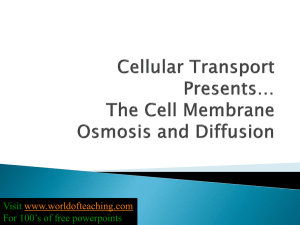 Cellular Transport Notes