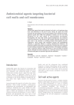 Antimicrobial agents that target the bacterial cell wall