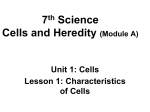 What is a cell? - Epiphany Catholic School