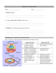 CELLS ALIVE - cloudfront.net