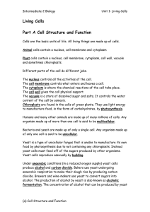 Living Cells Part A Cell Structure and Function