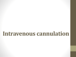 Intravenous cannulation