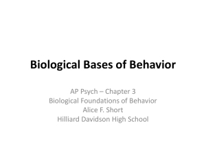 Biological Bases of Behavior - Mrs. Short`s AP Psychology Class