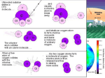 Ecosystem Disaster b