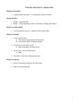 PSEUDOCOELOMATE LABORATORY Phylum Gastrotricha 1