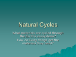 Natural Cycles