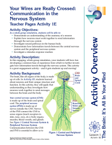 Activity Overview - Teacher Enrichment Initiatives