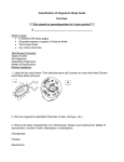 Layers of the Earth and Plate Tectonics Test Review The Test will be