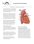 Congenital Heart Defects