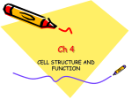 Inside the cell ppt