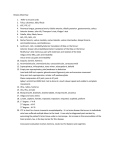 Principles of Physical Medicine Final Exam Review Spring 2015 Key