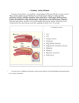 Coronary Artery Disease • Age • Sex • Family history • Smoking