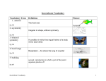 Invertebrate Vocabulary