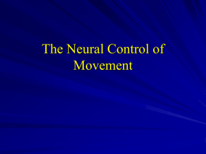 The Neural Control of Movement