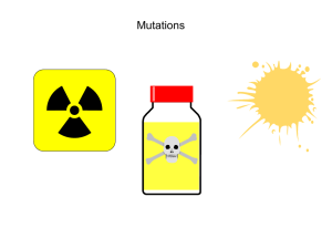 Genetics Review