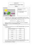 unit 2c File - Uddingston Grammar School