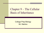 Chapter 8 – Cell Division and Mitosis