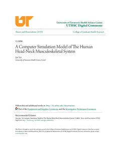 A Computer Simulation Model of The Human Head