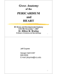 PERICARDIUM and HEART Gross Anatomy - eCurriculum