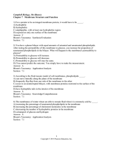 Campbell Biology, 10e (Reece) Chapter 7 Membrane Structure and