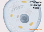 Chapter 3-1 Cornell Notes Discovering Cells