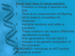 Main Ideas of Natural Selection