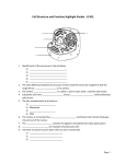 Cell Structure and Function Highlight Packet