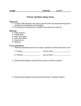 Protein Sequence WKS - Kenton County Schools