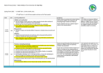 Moira Primary School - Maths Medium Term Overview for Year Four