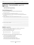 activity sheet