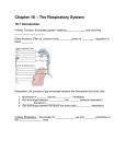 Respiratory System Notes