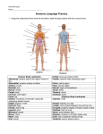 HANDOUT - Anatomy Language Practice