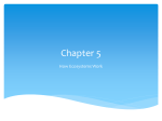 Chapter 5