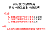 模式动物果蝇 在生命科学和医学研究中的应用