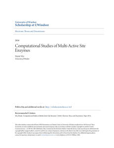 Computational Studies of Multi-Active Site Enzymes