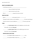 Igneous Rocks Notes