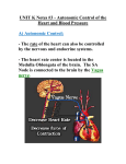 Unit K Notes #3 Nervous Control and Blood Pressure