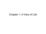 Chapter 1