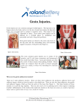 Groin Injuries. - Roland Jeffery Physiotherapy