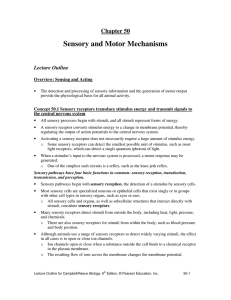 Sensory and Motor Mechanisms