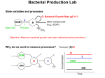 Bacterial Production Lab