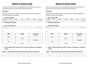 Wheel of Amino Acids Wheel of Amino Acids