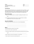 Lesson Worksheet