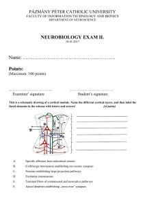 2016-2017_1stSemester_Exam2_180117_final