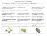 Concept Map – Photosynthesis and Cellular Respiration