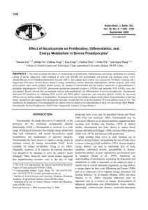 Effect of Nicotinamide on Proliferation, Differentiation, and Energy