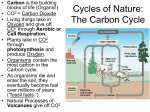 Cycles of Nature