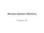 Nervous System Infections