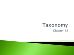 (for quiz): Taxonomy